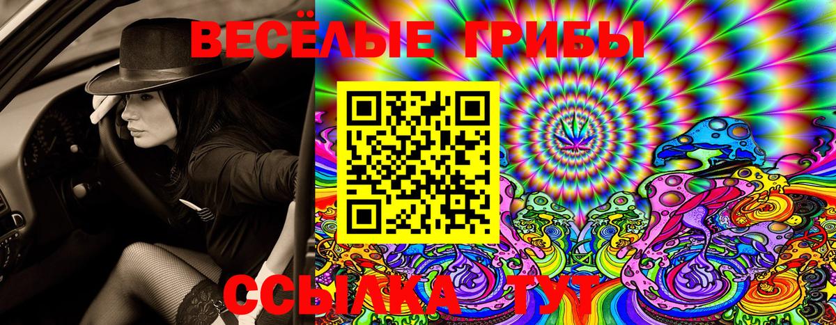 Галлюциногенные грибы MAGIC MUSHROOMS  наркота  Псилоцибиновые грибы Cubensis  Ртищево  Вход с VPN 